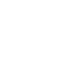 Social Media Strategy